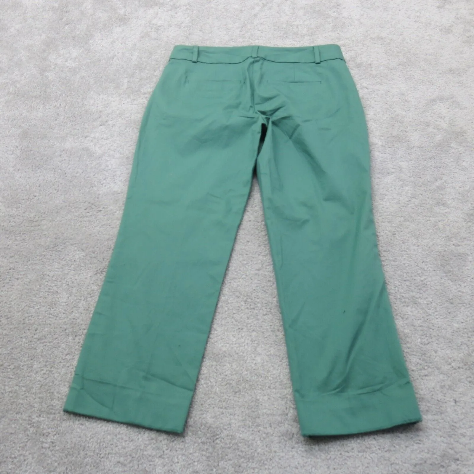 Ann Taylor Mens Straight Leg Dress Pants Mid Rise Four Pockets Green Size 0