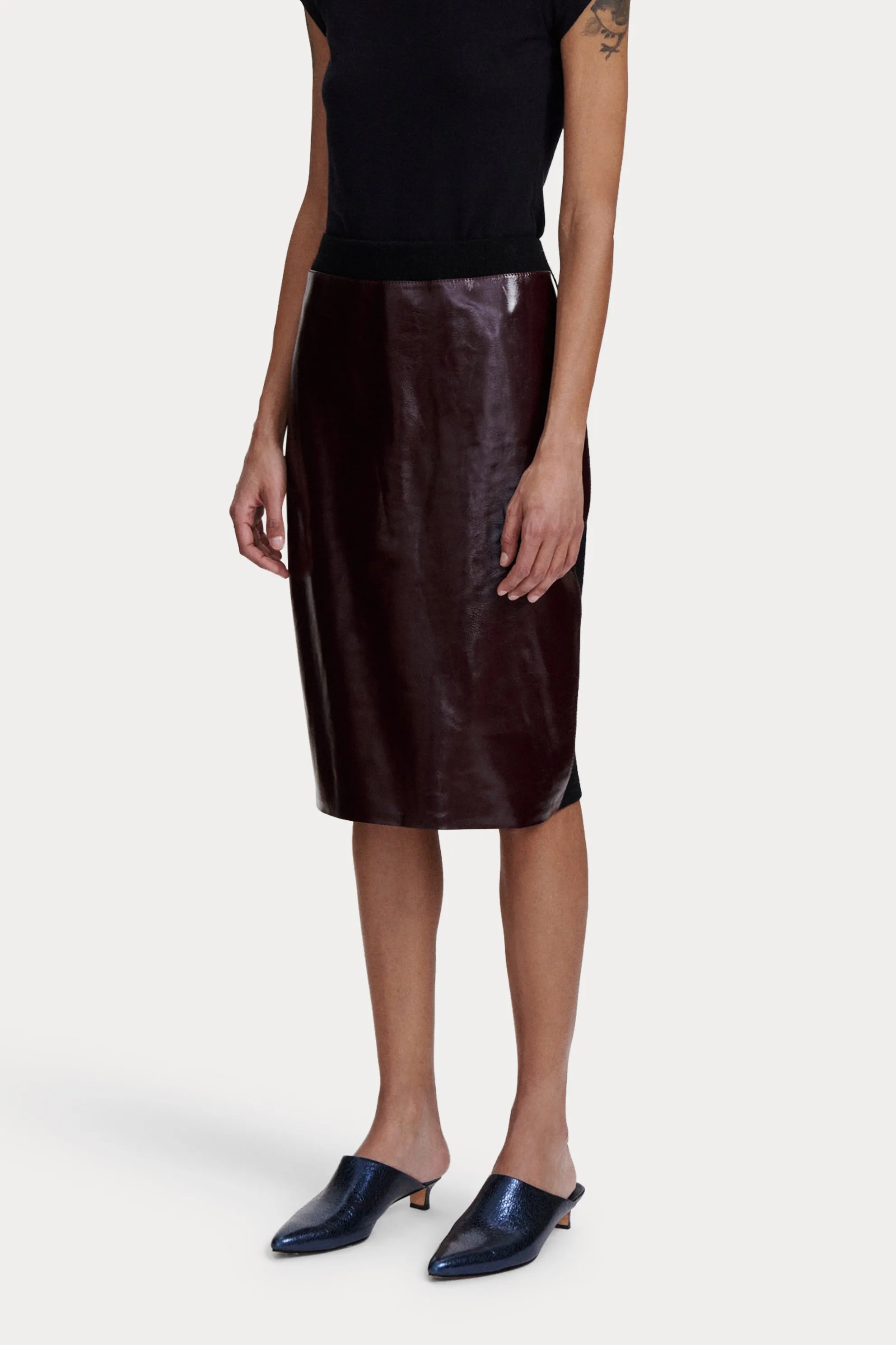 Halti Skirt