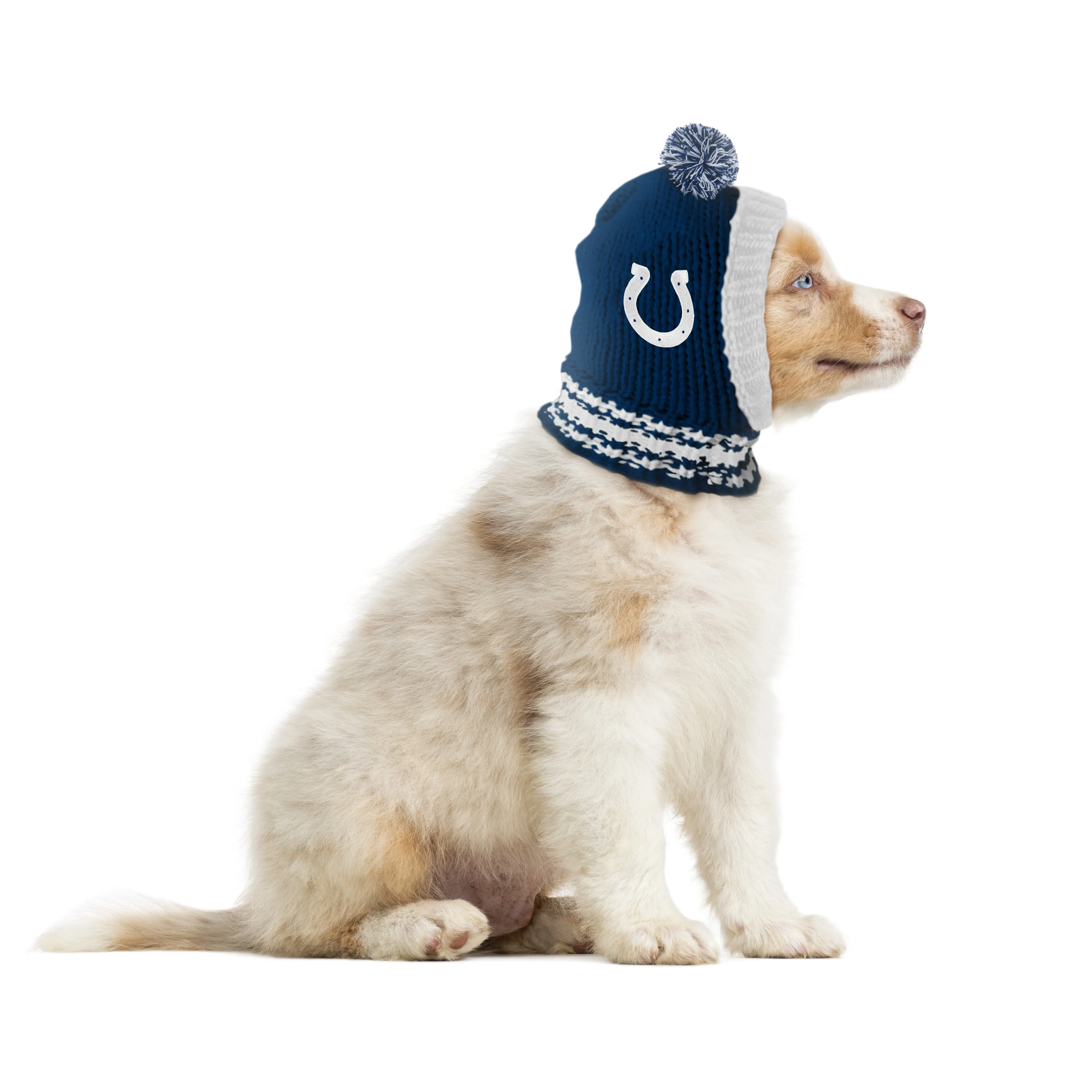 Indianapolis Colts Team Pet Knit Hat