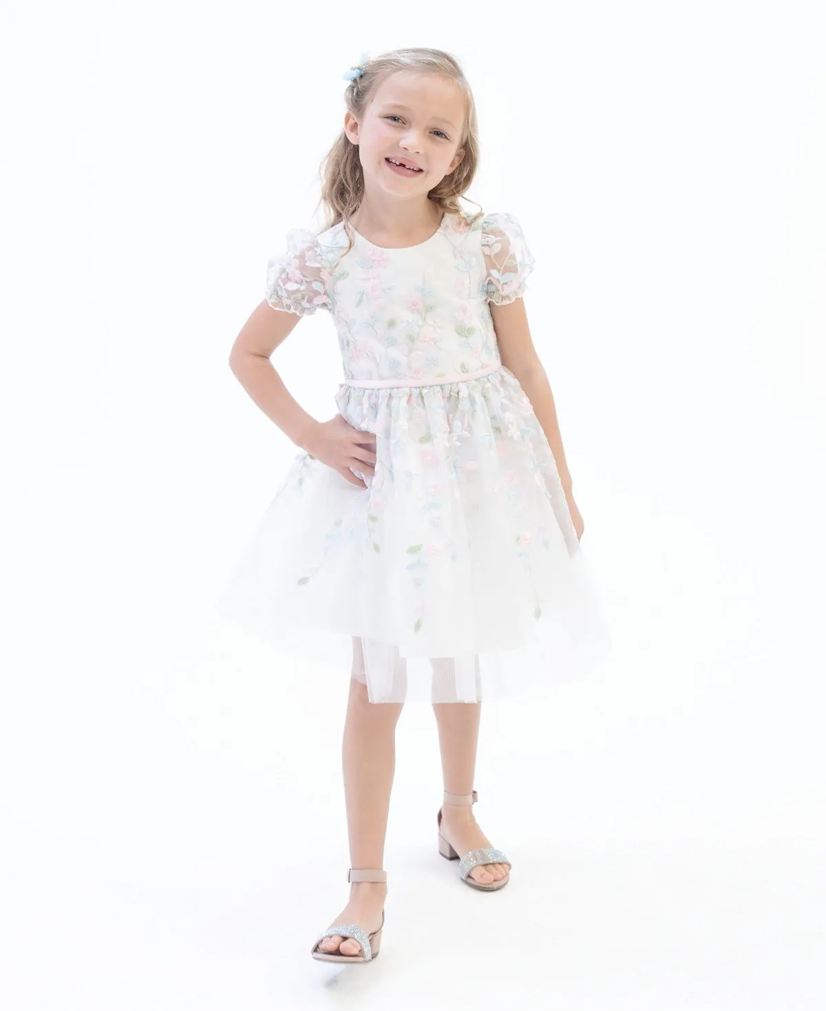 Rare Editions Toddler Girls Puff Sleeves Floral Embroidered Mesh Social Dress