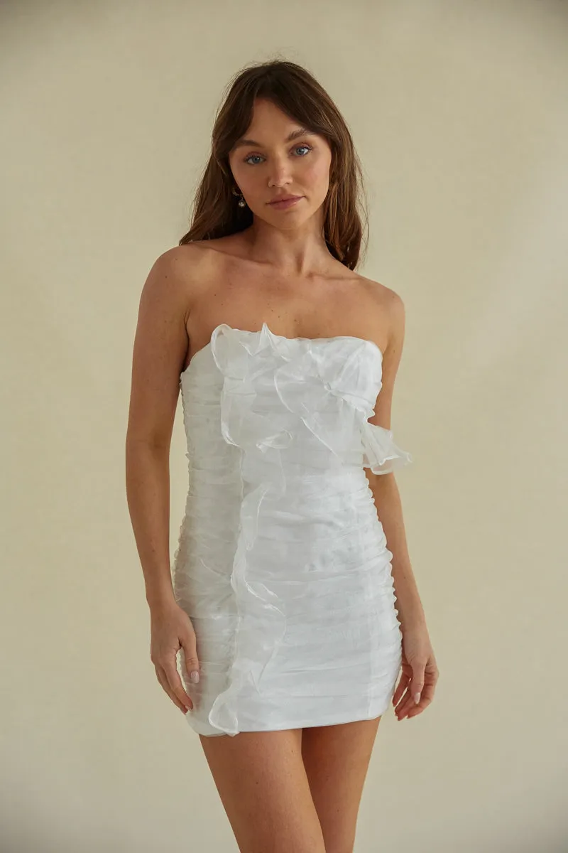 Sam Strapless Ruched Organza Bodycon Mini Dress